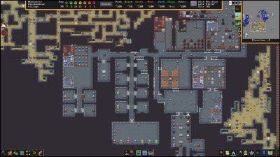 Dwarf Fortress (version Steam payante)