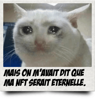 Mais on m'avait dit que ma NFT serait éternelle.