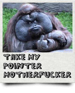 LOOK AT MY POINTER, MOTHERFUCKER